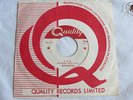 THE HAUNTED 45rpm 1-2-5 '60 garage PSYCH-PUNK Quebec group VG+ QUALITY