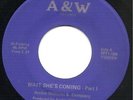 Archie Williams & Company - Wait She's Coming - A&W  Northern Soul / Funk