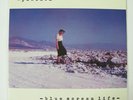 PINBACK Blue Screen Life Double LP (Ace Fu) clear vinyl