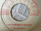 Wayne Smith Life Is A Moment In Space Killer Roots 7