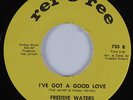 Funk Breaks 45 FREDDIE WATERS I've Got a Good Love REF-O-REE HEAR NM