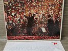 SONY 45808 DIGITAL *ZUBIN MEHTA VPO* NEW YEAR'S CONCERT VIENNA 1990*