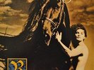 ALANNAH MYLES - Rockinghorse - the ultr@r@re VINYL album LP Complete AOR 1992