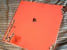 Animal Collective - HOLLINNDAGAIN FIRST PRESSING VINYL (st.ives) RARE
