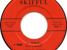PICTORIAN SKIFFULS In Awhile TOP CONDITION COPY 1965 Ohio garage classic