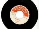 JOEL SALAS Y SUS CORVAIRS sunglow 117    Chicano TexMex Tejano 45