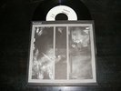 Sonar - Rotation 7