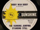 Running Jumping Standing Still Diddy Wah Diddy OZ Garage Punk Missing Links EX