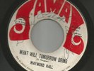 NORTHERN SOUL / FUNK-- WAYMOND HALL & APOLLOS -- HEAR BOTH on JAMAL