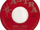 BOBBY STANTON SEXTET - SCREE....AGHH - SURF GARAGE TITTYSHAKER - RARE