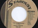 WADE FLEMMONS - THAT OTHER PLACE - LISTEN