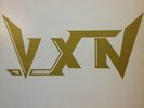 VXN  Vinyl Record Private Press Jeff Kollman Edwin Dare Toledo Metal V X N