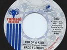 Rare Northern Soul 45 Wade Flemons 'Two of a Kind' 'Knew You'd Be Mine' Ramsel