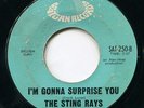 STING RAYS I'M GONNA SURPRISE YOU & LADY BE GOOD NORTHERN SOUL MOD GARAGE 45 ?