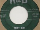 DALLAS TEXAS ROCKABILLY 45 Tommy Brown That Cat b/w Tell Me (K&B) HEAR