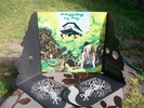 Dr Strangely Strange HEAVY PETTING  Orig U.K Vertigo SWIRL Nr Mint