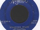 NORTHERN SOUL  THE SHEPPARDS    