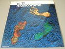 BRUNO LAUZI-CARLO PES MUSICORAMA 11 RARE ITALY LIBRARY FM 5 1972