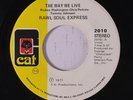 RAW SOUL EXPRESS: The Way We Live 45 (few lite foxing spots ol) rare Funk