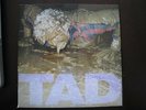 TAD / SALEM / 7