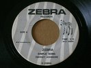 ZEBRA Simple Song/I Forgot To Say 7
