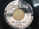 BIG AL DOWNING - Down On The Farm | RARE Texas rockabilly White Rock 45 HEAR