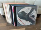 30x Vinyl House