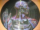 PROMO Picture VINYL LP Tool Lateralus - Deftones Amplifier Porcupine Tree