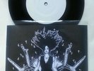 ROT IN HELL termini terrae TEST PRESS 7