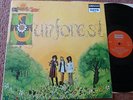 RARE (DERAM/Nova) '69 LP 'Sound Of SUNFOREST'  psych/folk/rock STEREO