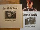 TRES  RARE  COFFRET 3  X  LP's  DAVID  BOWIE  