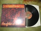 At The Gates - Slaughter Of The Soul - LP MINT Earache 1995/2002 (Entombed)