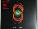 Pearl Jam Binaural Vinyl LP Very Rare
