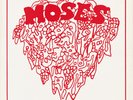 MOSES Changes Vinyl LP Progressive Denmark '70 Hard Prog fuzz garage Psych Rock