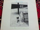 B.J Cole The New Hovering Dog LP 1972 UK UA NM Pecko Vinyl Cochise King Crimson