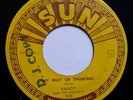 Garage Rock Randy & The Radiants-My Way of Thinking-Sun 398-DJ Copy-VG+ Listen