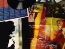 PAUL WELLER WILD WOOD 12