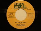 northern soul BABY LITTLE Big Time Playboy WATTS WAY M- hear soundclips