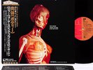 (PINK FLOYD) ROGER WATERS body JAPAN '79 LP w/OBI rare  [FREE P+P]