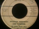 Luke Thompson & His Green Valley Boys 45 Vg Rare Bluegrass Hammond