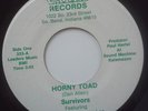 Northern Soul 45 SURVIVORS Good Baby VALLI Larry Collins indiana soul listen