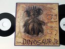 DINOSAUR JR. - german only RADIO Promo 45 + Vinyl LP NM 
