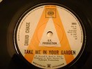 1967 SINGLE BY DRUID CHASE, TAKE ME IN YOUR GARDEN / I WANNA GET MY HANDS ON YOU