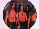 Picturevinyl Dismember