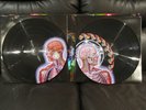 TOOL Lateralus gatefold 2LP pic disc  VINYL