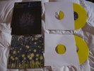 set of 3 LP ISIS colored Wavering Radian : In The Absence Of Truth : Red sea
