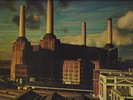 PINK FLOYD  ANIMALS 1st pressing COLUMBIA 1977  ROGER WATERS IMMACULATE MINT LP