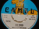 DELROY WILSON   SAD MOOD   SKA SKINHEAD ROOTS REGGAE   UK PAMA CAMEL 7