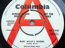Downliners Sect - Baby what's wrong - Rare 1964 Columbia Demo - DB 7300