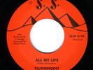 Northern Soul - Fluorescent Smogg - All My Life
